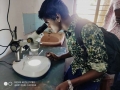 IMG-20191229-WA0009